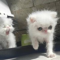 Варвара Сухогузова