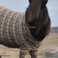 Наталия Ефимова