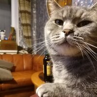 Валентин Б.