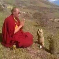 Вкусная Шпрота