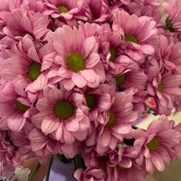 Регина Айзатулина