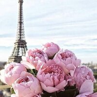 Екатерина Л.