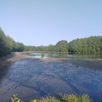 Давыдкин Кирилл