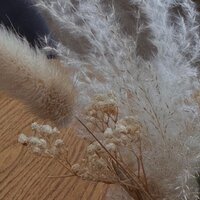 Вероника Н.