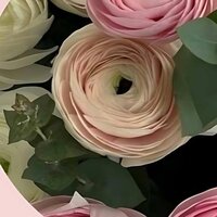 настя котлярова