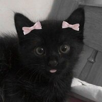 мастер в развитии