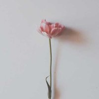 Инна Климанская