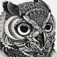 Виталий Барашков