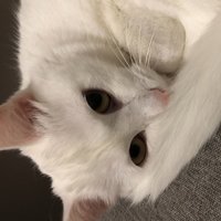 Римма Иконникова