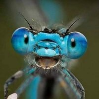 Даниил Фролов