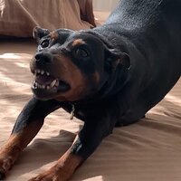 Бринько Анастасия