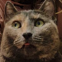 Кристина С.