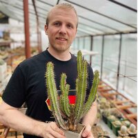 Иван Грозный