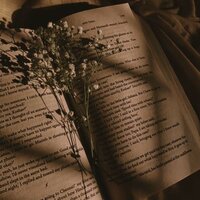 Никита Сермягин