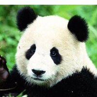 Марина говорит