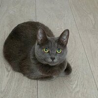 Евгения Терентьева