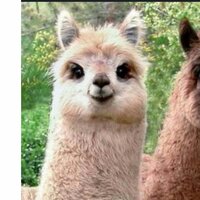 Катерина Л.