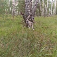 Оксана Викторовна