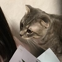 Мария Яковлева