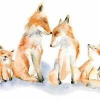 Ольга Афанасьева