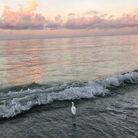 Ангелина Баутина