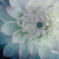 Александра Емельянова