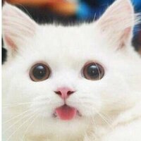 Леди кефирчик