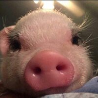 Татьяна Варламова