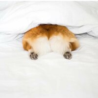 Анастасия И.