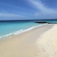 Анастасия Облогина