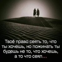 Истории Саймона