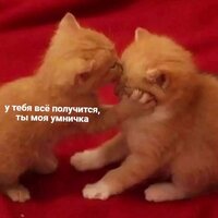 Дарья Непогодьева