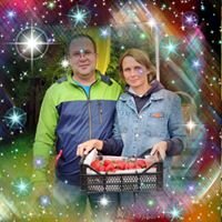 Владимир Назарьин