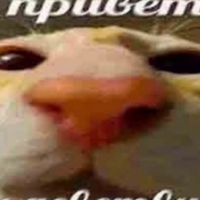 Анастасия Копачева