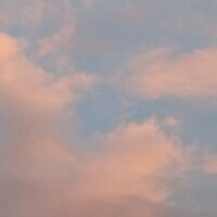 Галя Ковган