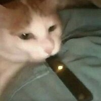 Анастасия Суворина