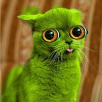 Король Аськи