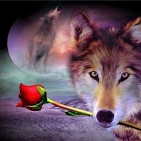 Юрий Цыганков