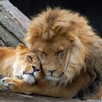 Кристина А.