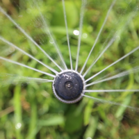 Интернет магазин Роса