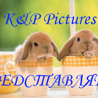 Степан Бубнов