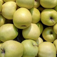 София Долгова