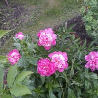 Лариса Сидорова