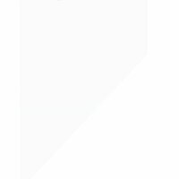 Ника Уэбстер