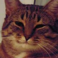 Тихон Бобков