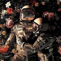 Анастасия Ч.