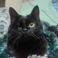 Маруся Маяковская