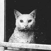 Влад Байков