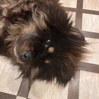 Руслан Наумов