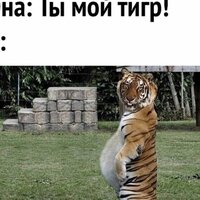 Петръ Никитишин